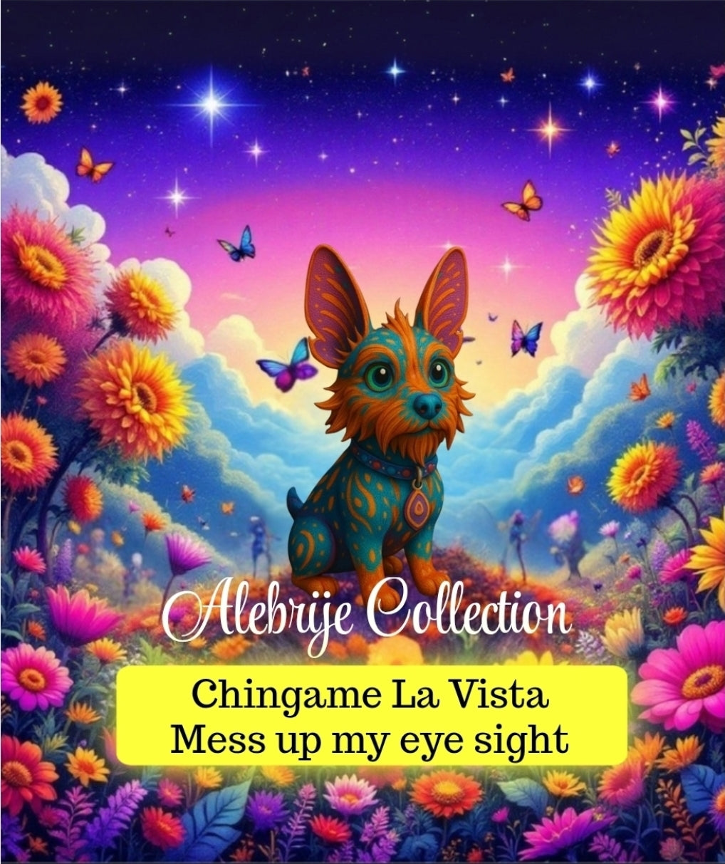 Alebrije Collection ~ Chingame La Vista / Mess up my eyesight