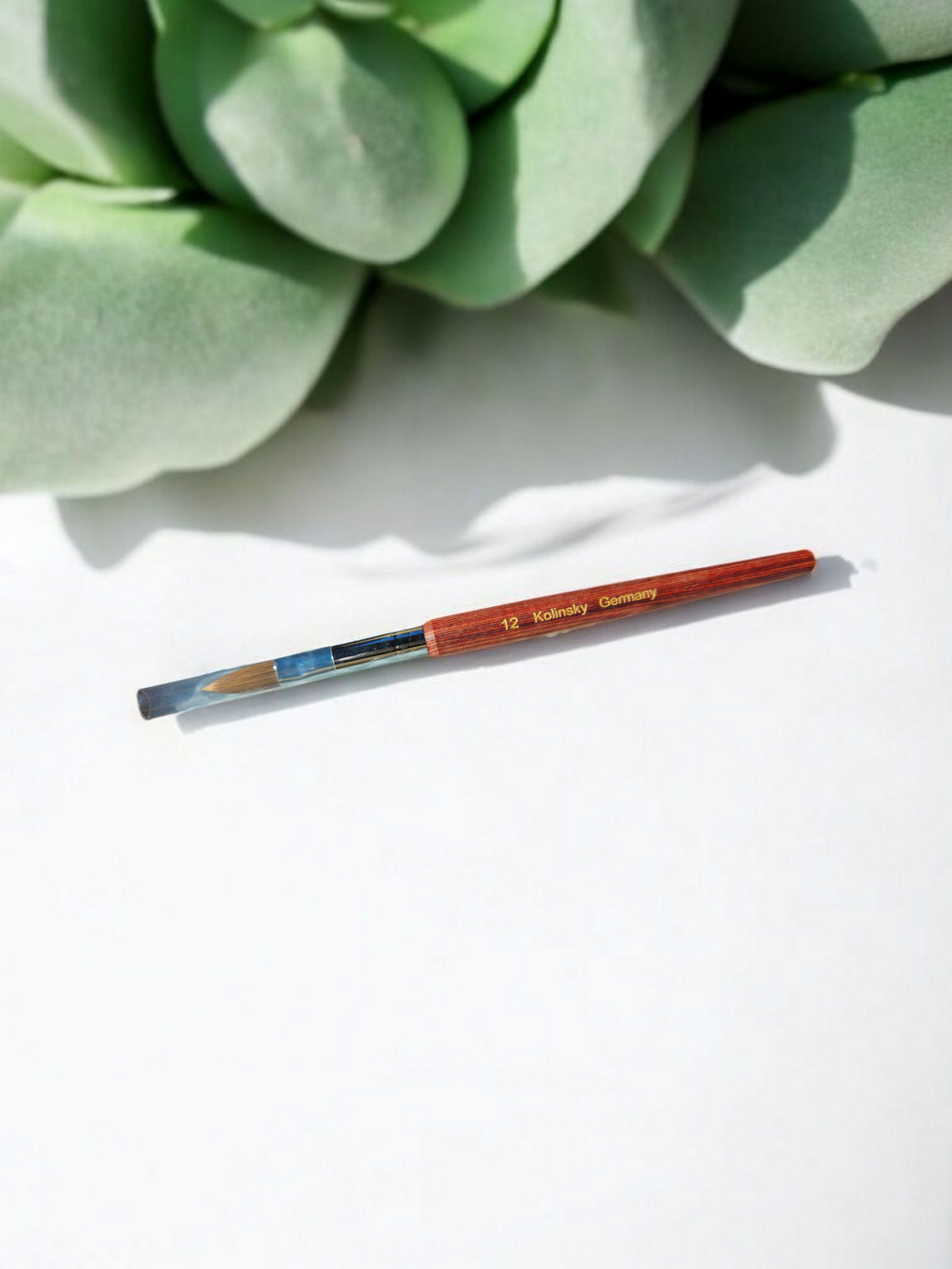 Kolinsky Acrylic Brush #12