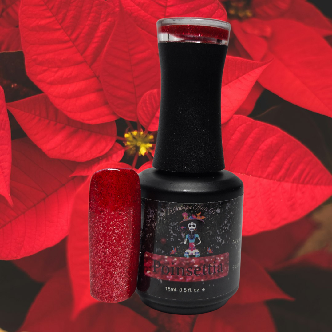 Pre-Order Noche Buena- Christmas Eve Collection (Complete Collection)