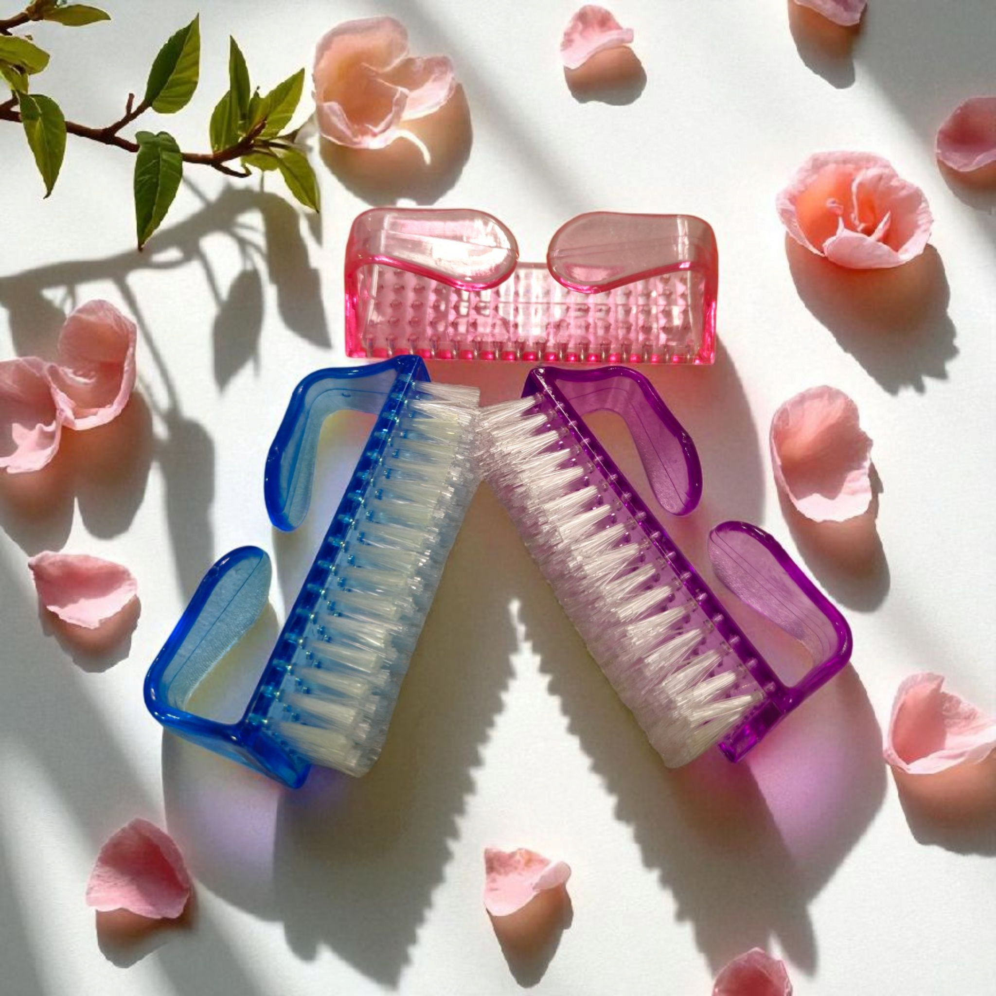 6 Standard Size Nail Brush