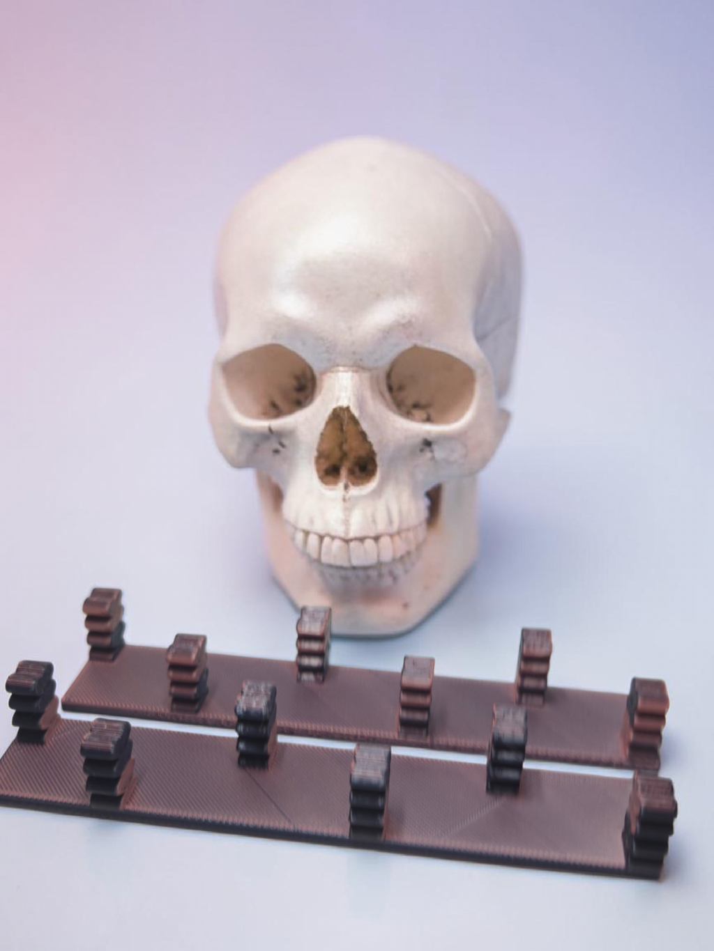 Skull Swatch Holder 2 Piece Set