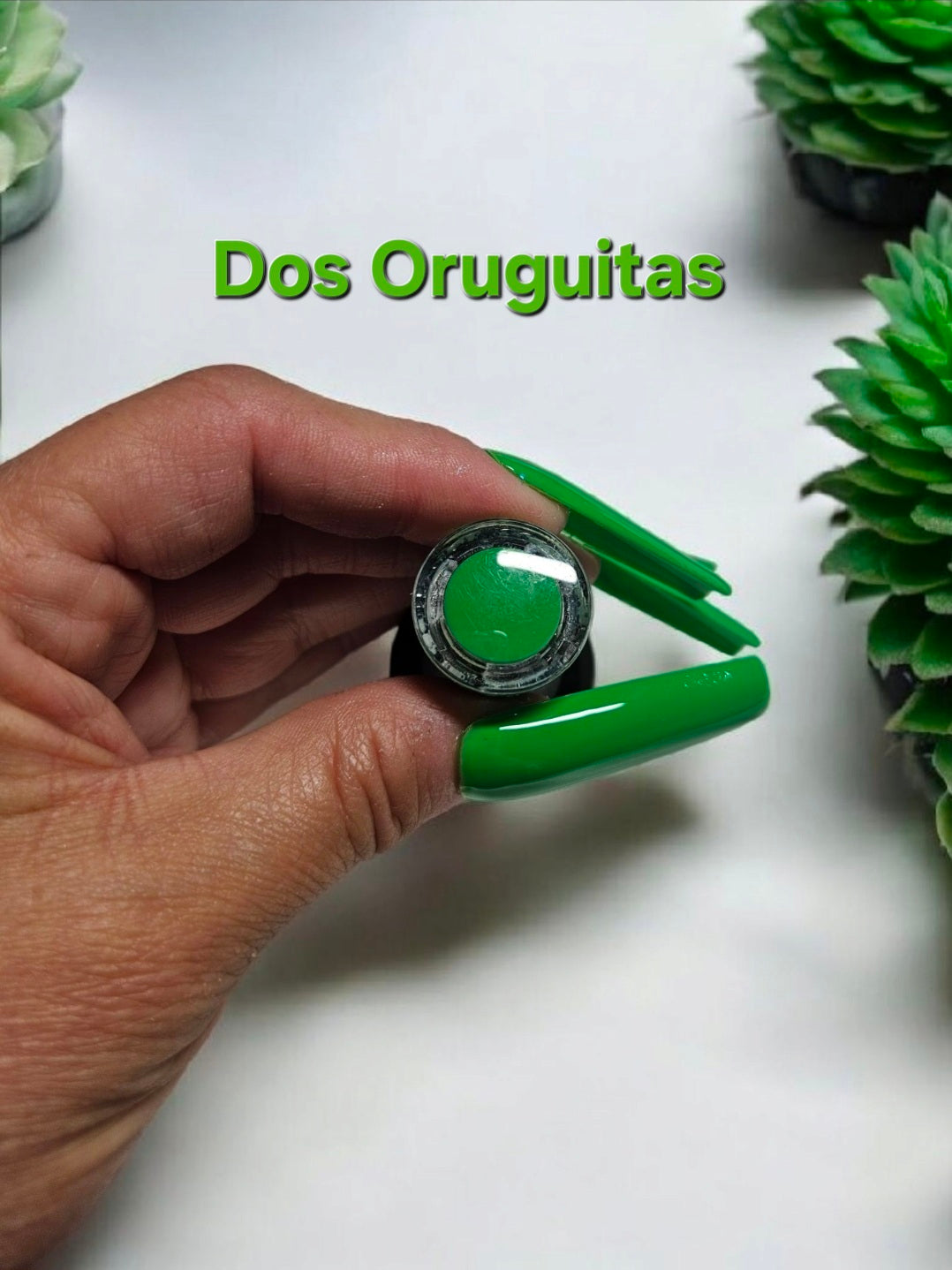 Primavera Collection Re~Release 2026
