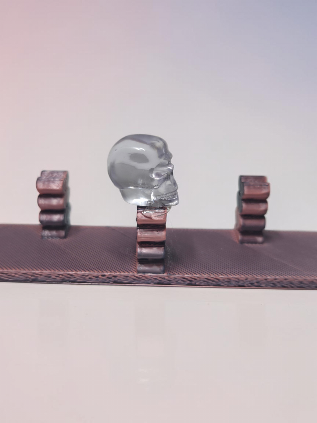 Skull Swatch Holder 2 Piece Set
