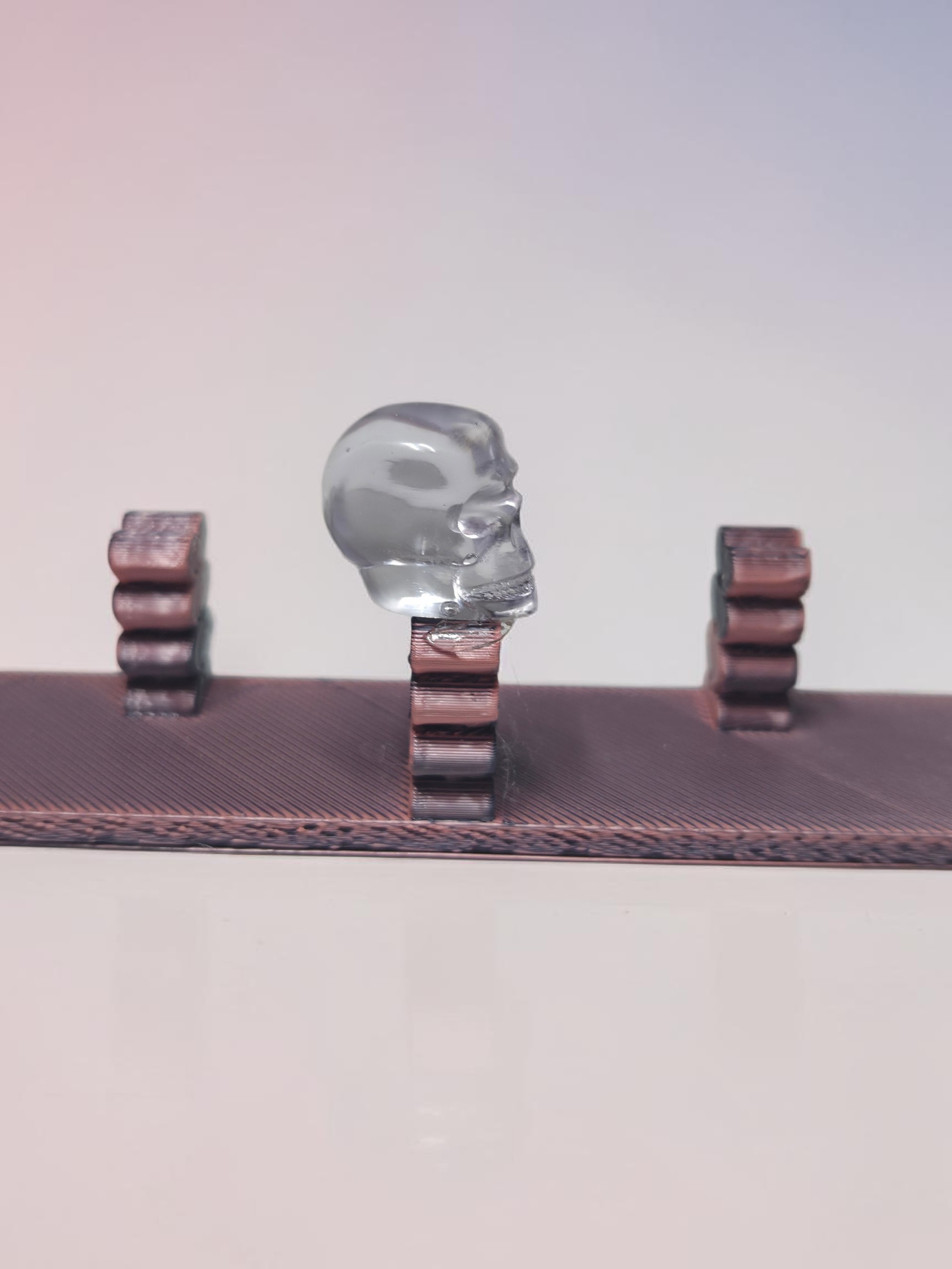 Skull Swatch Holder 2 Piece Set