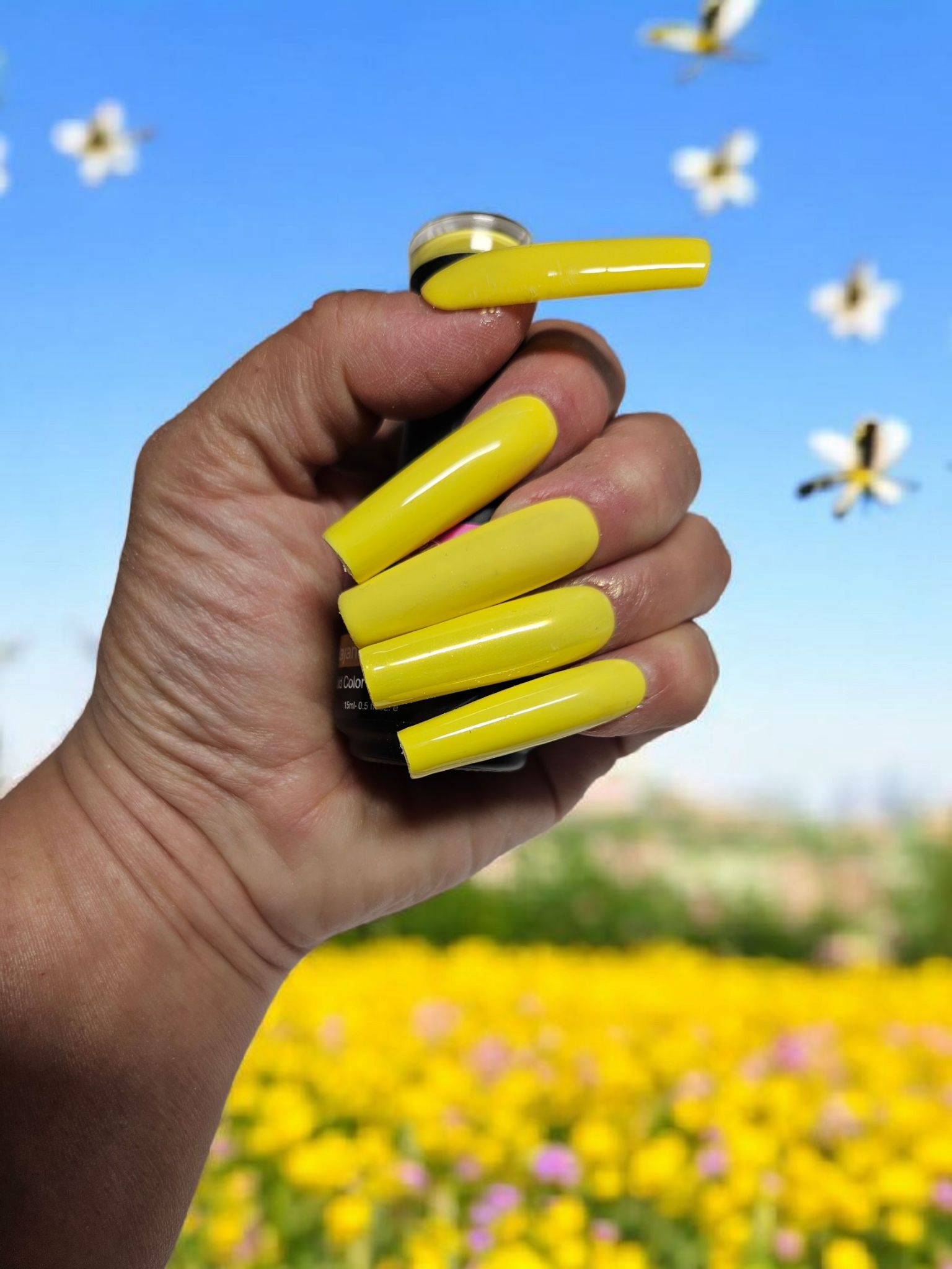 La Catrina Nails.Tx~ Primavera Collection ~ Rayando El Sol / Bright Yellow